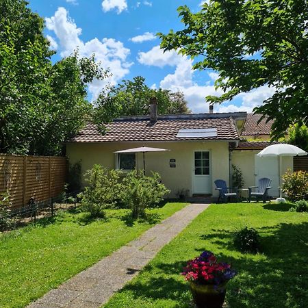 Bed and Breakfast Les Cedres Bleus Saint-Medard-de-Mussidan Экстерьер фото