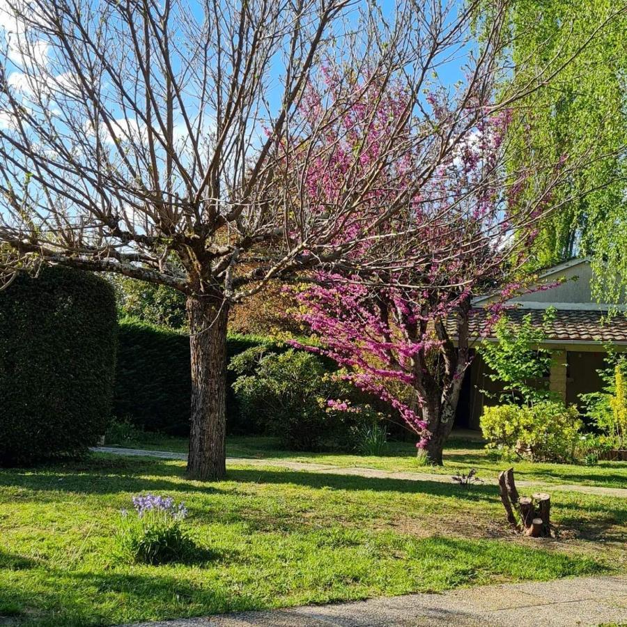 Bed and Breakfast Les Cedres Bleus Saint-Medard-de-Mussidan Экстерьер фото