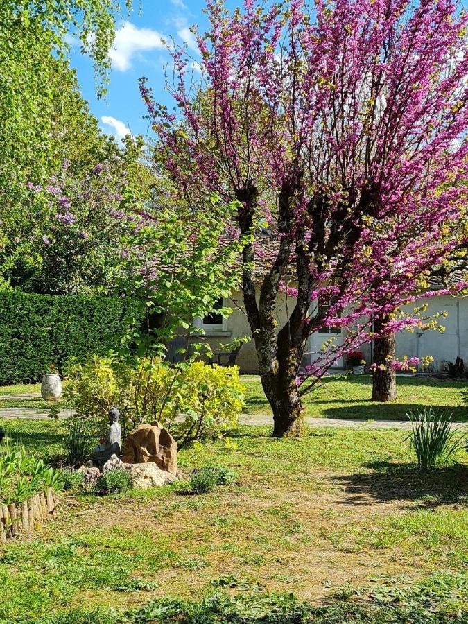 Bed and Breakfast Les Cedres Bleus Saint-Medard-de-Mussidan Экстерьер фото